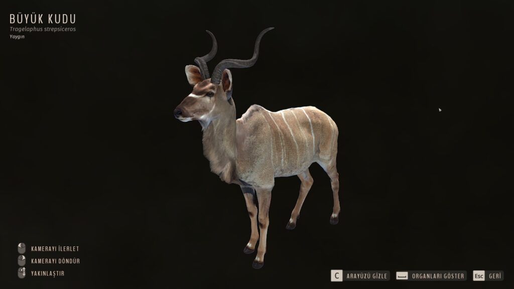 Oyundaki yeni hayvan türlerinden birisi olan Büyük Kudu