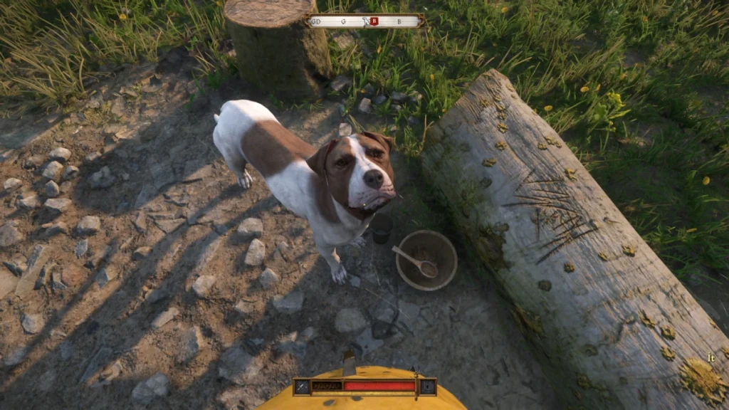 Kingdom Come Deliverance 2 köpek görevi